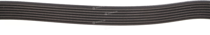 Dayco 7PK1705DT