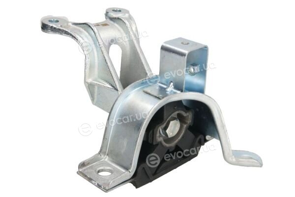 Reinhoch RH11-1071