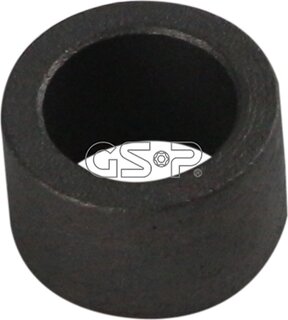 GSP 516876