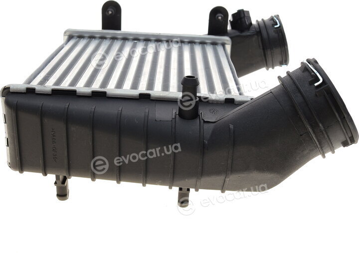 Van Wezel 58004238