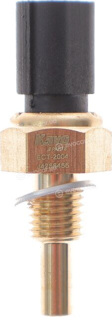 Kavo ECT-2004
