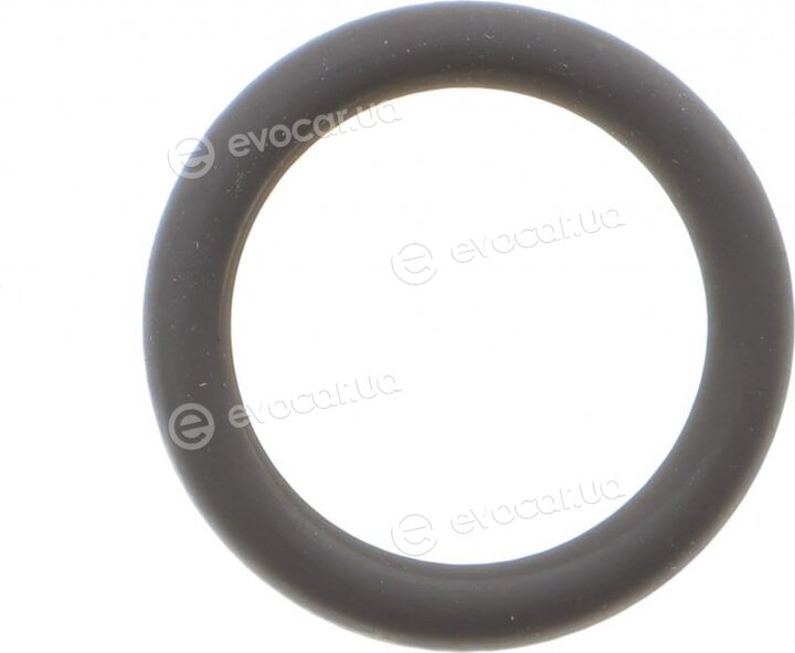 Elring 003.360