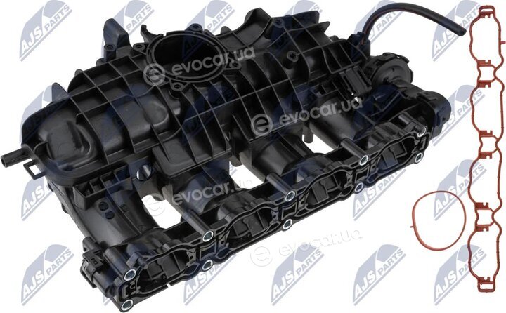 NTY BKS-VW-034