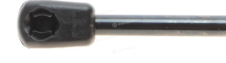 Stabilus 2569LN