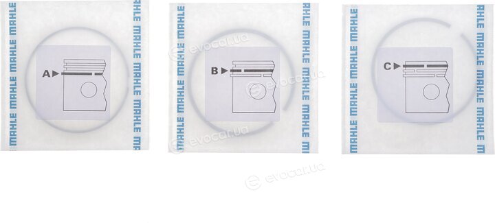 Mahle 033 19 N3