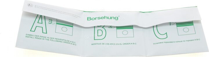 Borsehung B19041