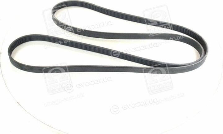 SKF VKMV 6PK2155