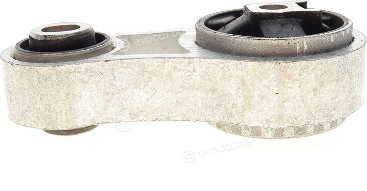 Delphi TEM024