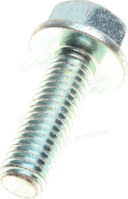 Solgy 203043