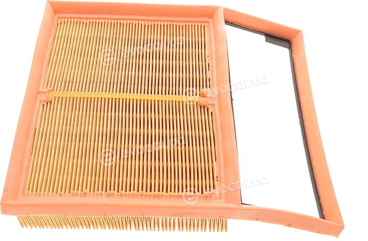 Mann C 24 013
