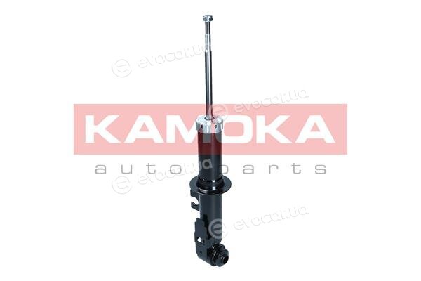 Kamoka 2001160