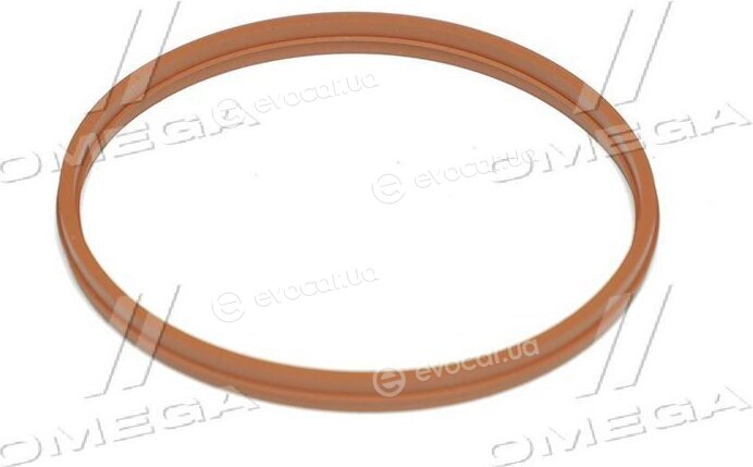 Elring 576.100