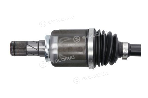 Pascal G2B038PC
