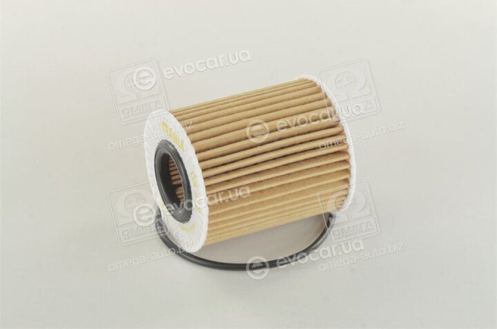 Mahle OX 413D2