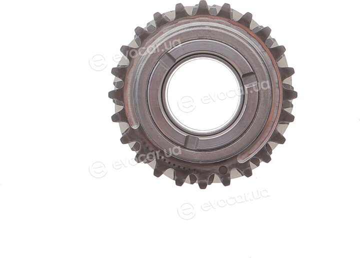 Borsehung B16298