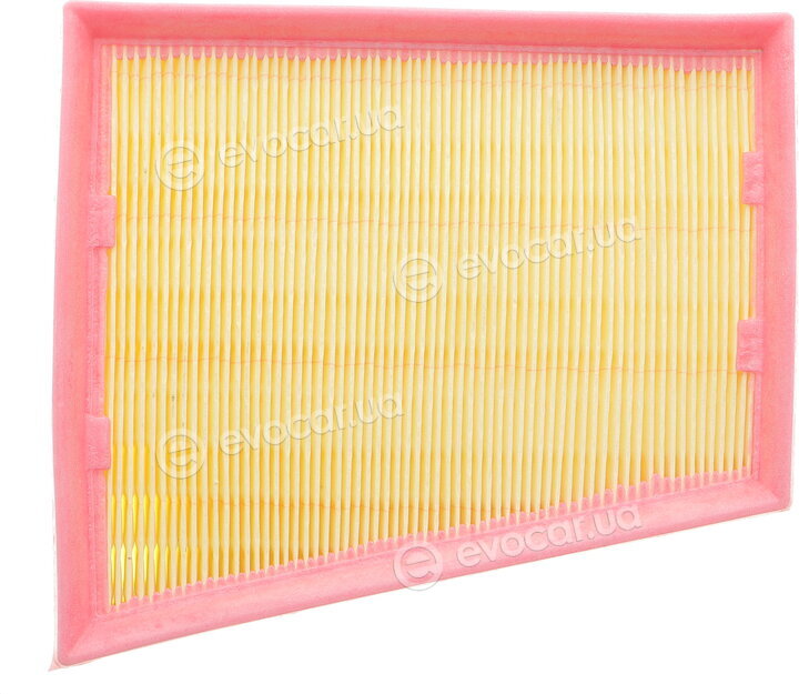 Solgy 103141