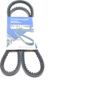 Hutchinson AV 10 La 1250