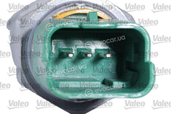 Valeo 366225