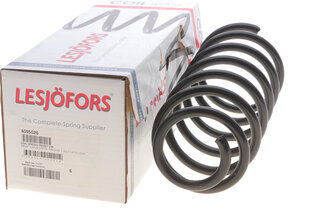 Lesjofors 4095026