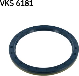 SKF VKS 6181