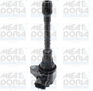 Meat & Doria 10861