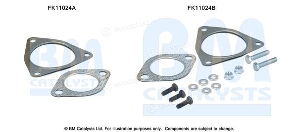 BM Catalysts FK11024