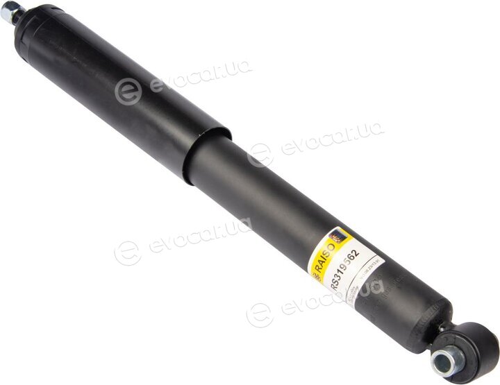 Raiso RS319562