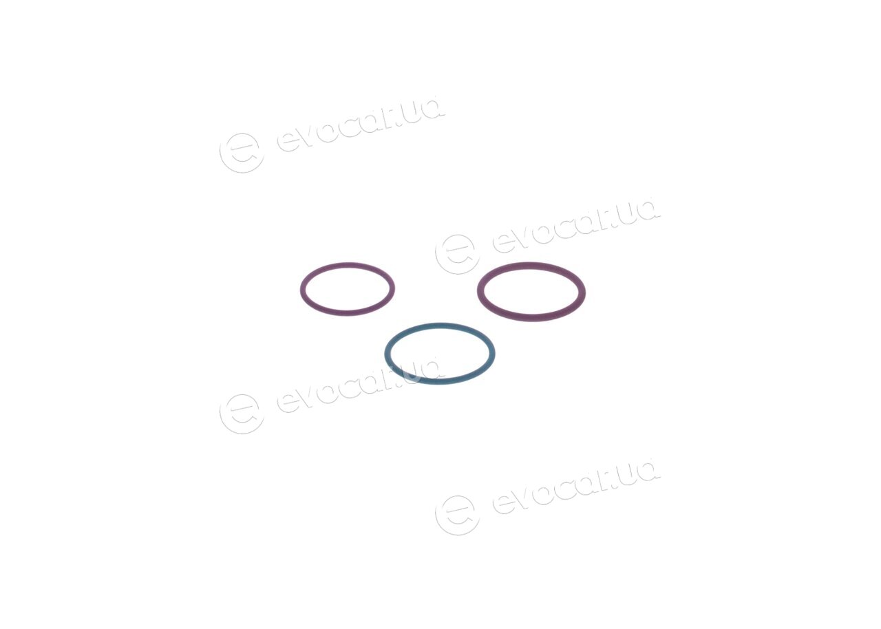 Bosch F 00V X99 998