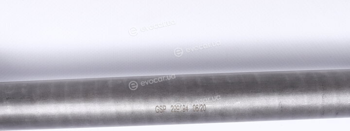 GSP 299194