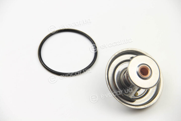 Motorad 247-79K