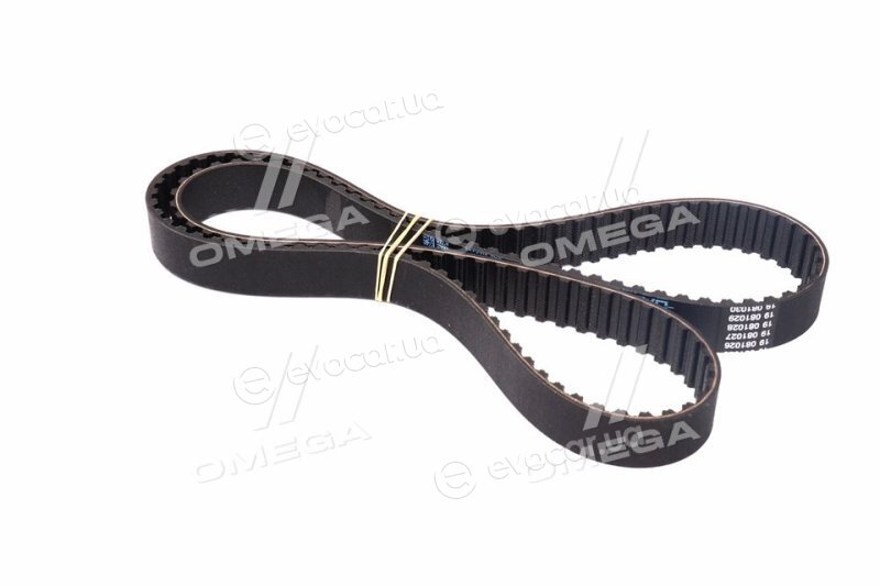 Dayco 941038
