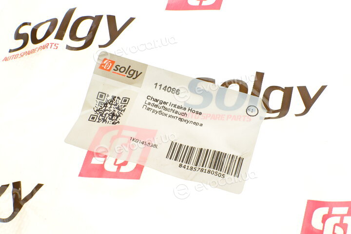 Solgy 114086