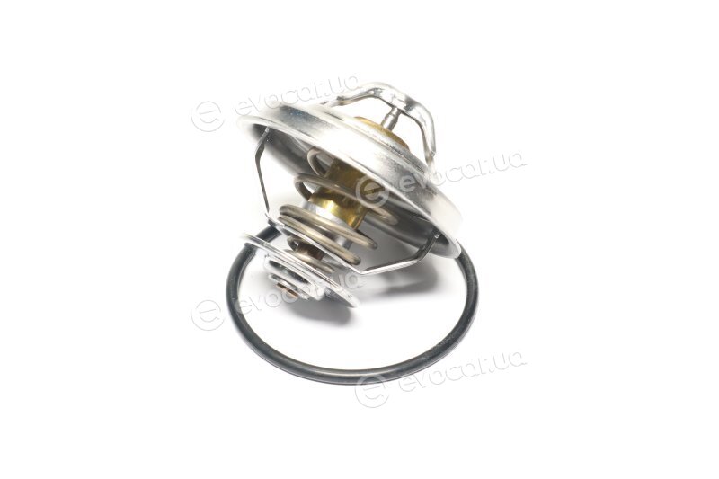 Mahle TX 30 87D