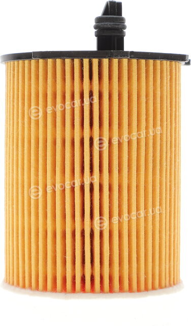Solgy 101032