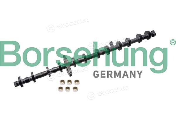 Borsehung B12678