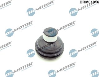 Dr. Motor DRM01016