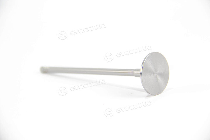 BGA V163870