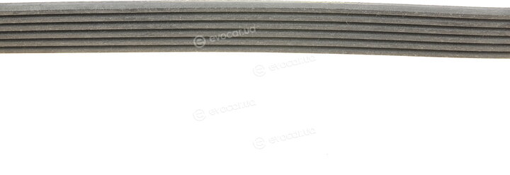 Continental 6PK1345 EXTRA