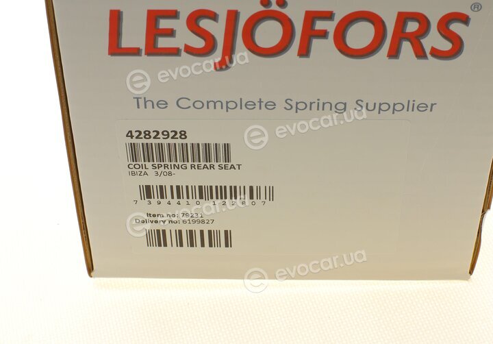 Lesjofors 4282928