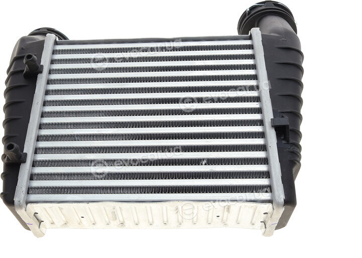 Van Wezel 58004238