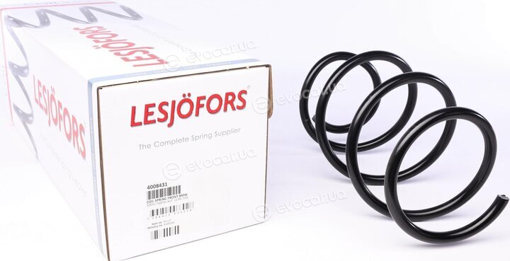 Lesjofors 4008431