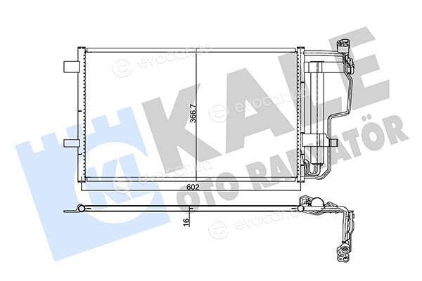 Kale 345490