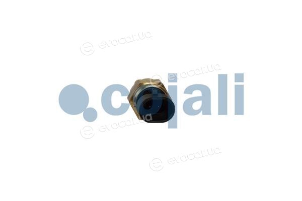 Cojali 2262054