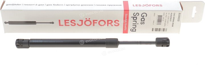 Lesjofors 8104232
