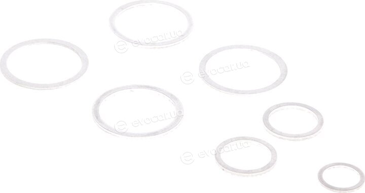 Elring 506.520