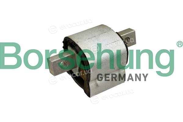 Borsehung B13077