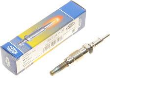 Magneti Marelli 062900011304