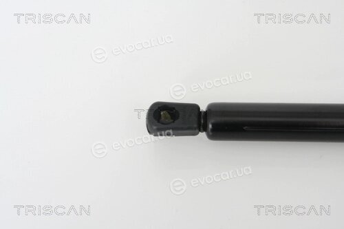 Triscan 8710 23210