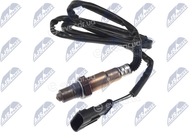 NTY ESL-AR-002