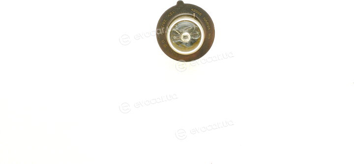 Narva 420053000